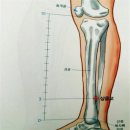삼음교혈 찾기 - 레이저 파동재핑 이미지