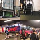 JOB주짓수클럽 | [아일랜드 학생비자] 아일랜드 일상생활 헬스장 &amp; 주짓수 후기