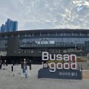 금수곡 | 만두랑 복국먹으러 부산갔다가 겸사겸사 엑디즈 본 스케줄
