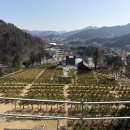 선택목장 이미지