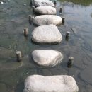 동성약품 이미지