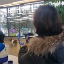 애드어썸 이미지