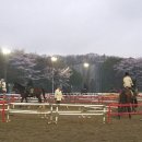 세계승마클럽 이미지