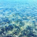 캐슬529 키즈풀빌라 이미지