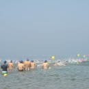 태안바다 이미지