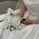 제인스 | 웨딩시티 신도림 아이폰스냅 제인스냅 후기(추천)