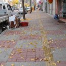 삼일이용소 이미지