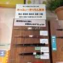 세븐일레븐 신사제일점 | 후쿠오카 유후인 당일 투어 후기 , 이 가격 주고 갈만할까?