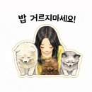 [네이버쇼핑 픽어그릭 올리브절임 350g 먹어본 후기]