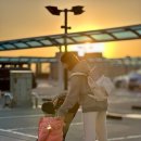 나혜미 카카오 검색결과