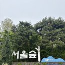 서울숲 커뮤니티센터(1층) 화장실 | 서울 피크닉 장소 추천 _ 서울숲 _ 튤립, 인파, 화장실, 주차, 지도, 맛집 정보