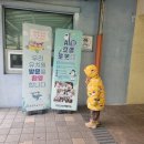 아라초등학교 병설유치원 | 학교 탐방, 제주대학교, 아라초등학교 병설 유치원,