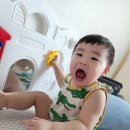 아이럽뽀 | [5월 4째주] D+538~544 뽀기 / D+125~131 러브 / 럽뽀기남매일상기록