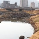 대청천L 네이버블로그