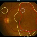녹십자연합의원 이미지