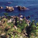 푸른 발전소 이미지