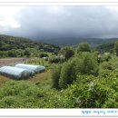 왕신3리 이미지