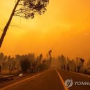 세계 평균기온 사흘째 역대 최고치 “엘니뇨 영향” 이미지