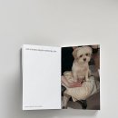 에이마인드 이미지