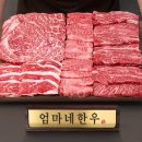 세 며느리식품 | 예비 며느리의 첫 명절! 실패 없는 시댁 설 선물 추천 BEST 3 (ft. 내돈내산 센스 챙기기) 🎁