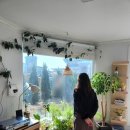 궁남로스테이 이미지