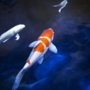 김성훈한의원 이미지