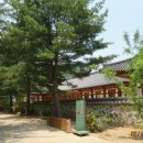 초정다실 네이버블로그