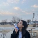 홍프로샵 이미지