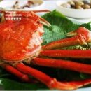 대원대게센터 이미지