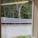 [할인코드: 10106] 공방301 명품 웨딩밴드보다 좋은 디자이너 브랜드, 약혼반지 결혼반지 투어 후기