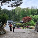 10기219차사천 이구산:고목 호흡 이미지