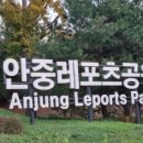 안중 이미지