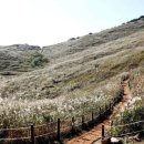 월곡시장 후문 이미지