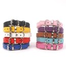 애완상회 이미지