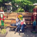 올리브 장작 이미지