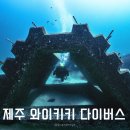 와이키키다이버스 이미지