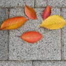 성북-돈암-2042 이미지