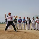 보성군청 이미지