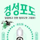 경성포도