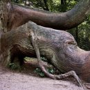 두근두근여행스케치 이미지