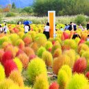 황산공원 캠핑장 3번 이미지