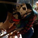 아람목장 이미지