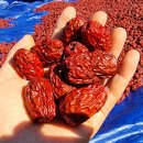 치유농장 연원당 이미지