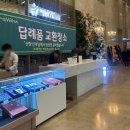 위더스푸드 | [웨딩홀] 광주웨딩홀투어 마지막, 최종 베뉴 위더스 26년 상반기 계약 후기🌿