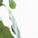 관저재활의학과의원 이미지