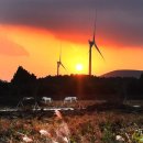 시나브로목장 이미지