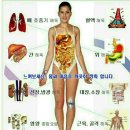 내몸해독센터 네이버블로그