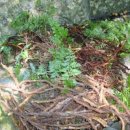 다래 당구장 이미지