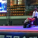 무혼 태권도 이미지