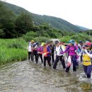 괴정4동-10 이미지